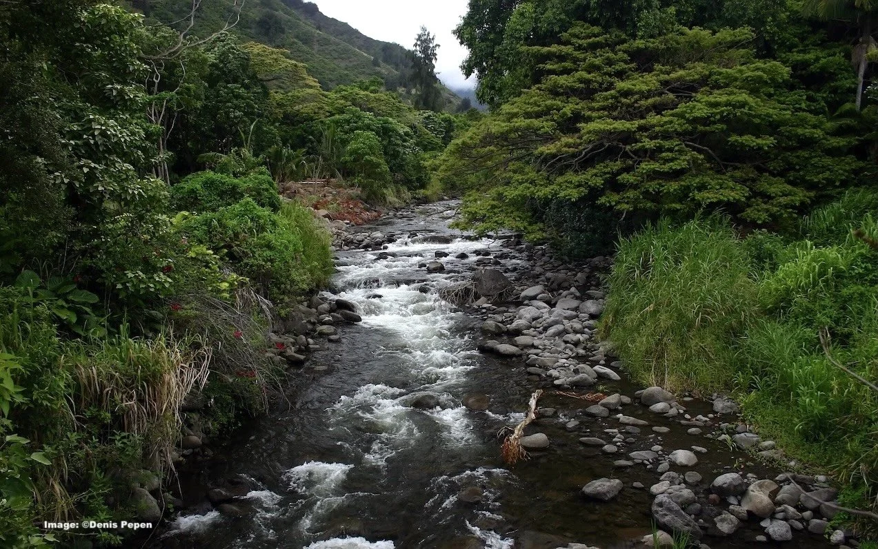 Beautiful stream in IOA State Park, Hawaii