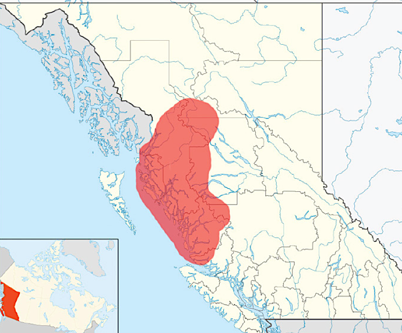 Spirit bear area British Columbia
