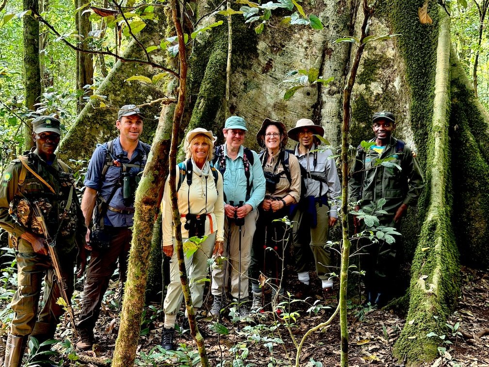 Destination: WIldlife group in front of giant fig tree in Kibale National Park, Uganda