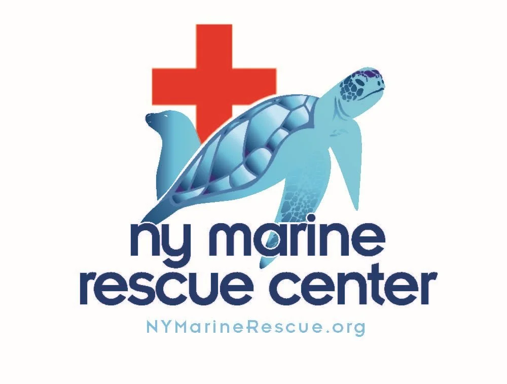 NY Marine Rescue Center