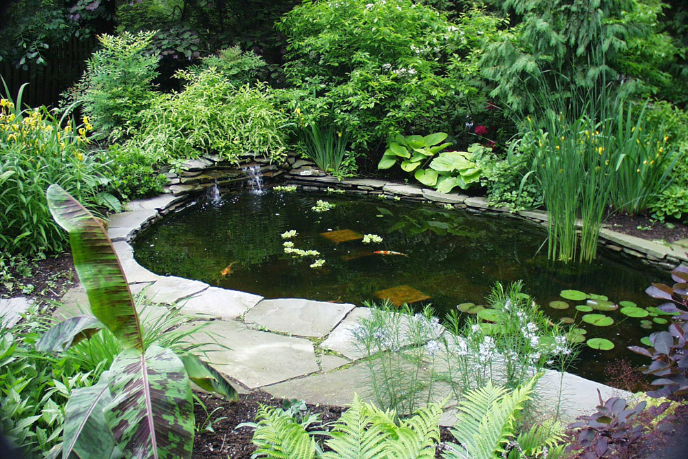 phila-landscaping-company-pond-fountain.jpg