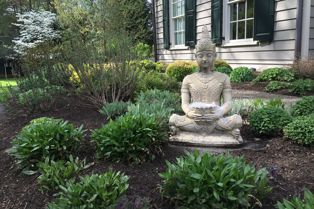 foundation-planting-buddha.jpg