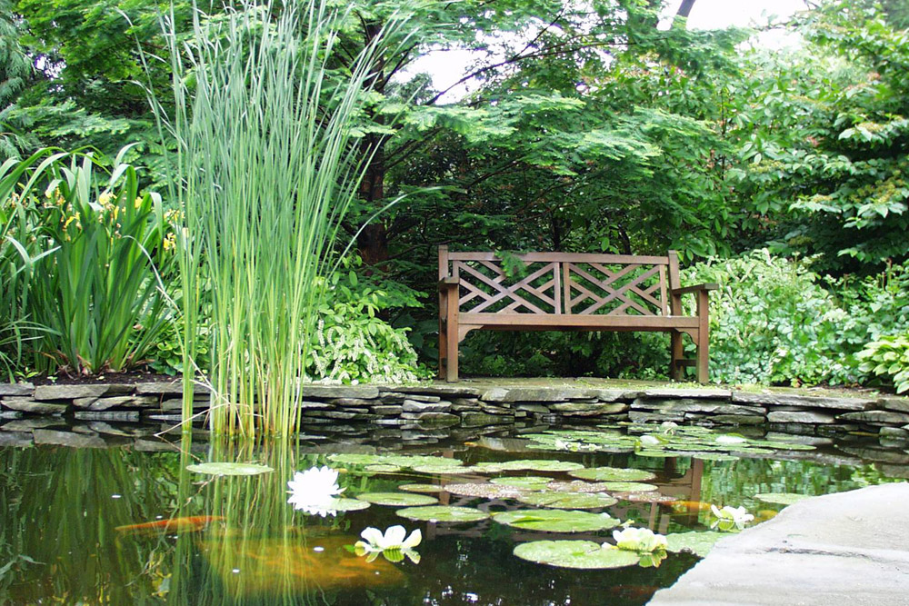 andrew-bunting-koi-pond.jpg