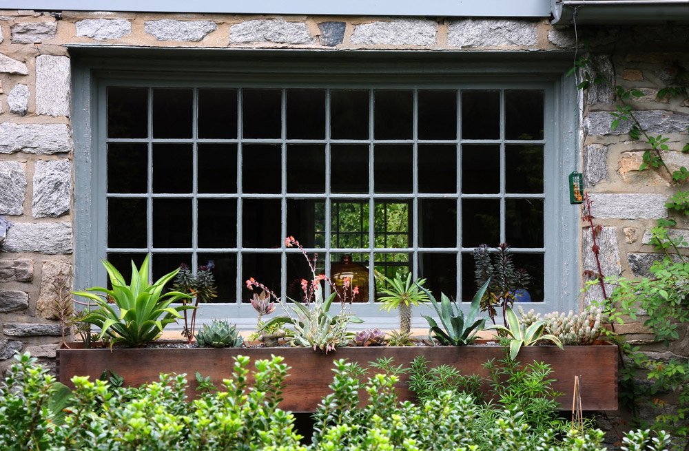windowbox-swarthmore-andrew-bunting-landscaping.jpg