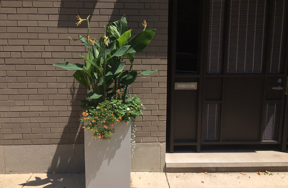 philadelphia-planter-windowbox.jpg