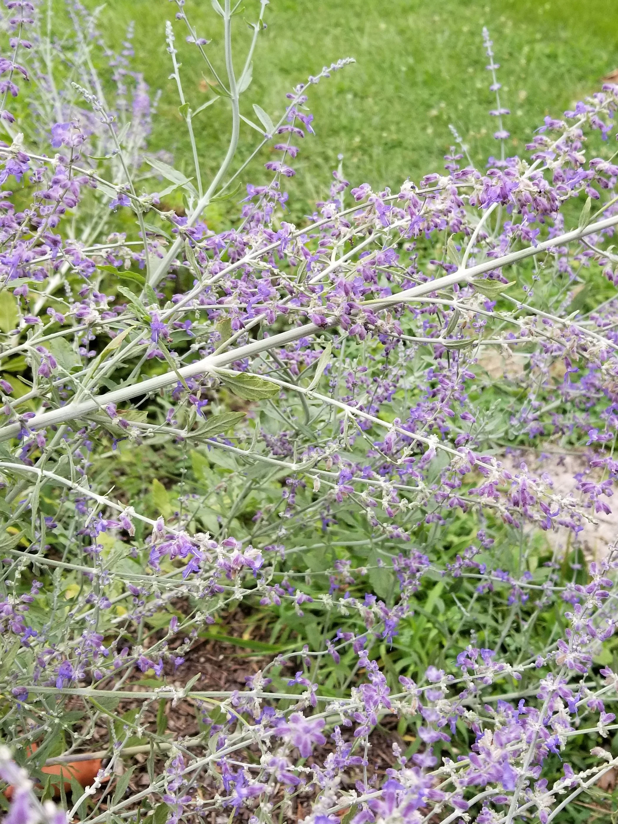 20190813_153334.jpg