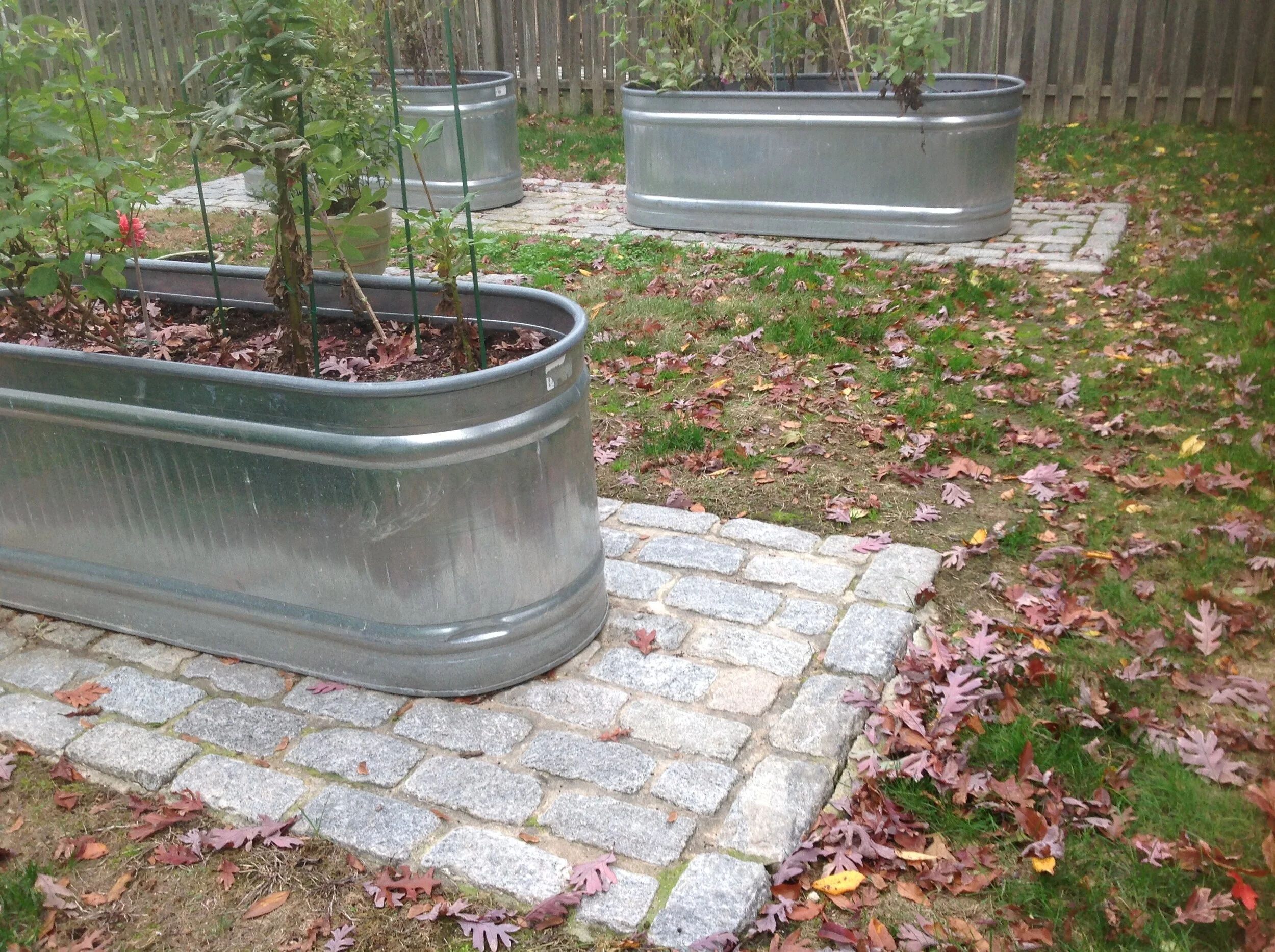 Copy of IMG_3873.JPG