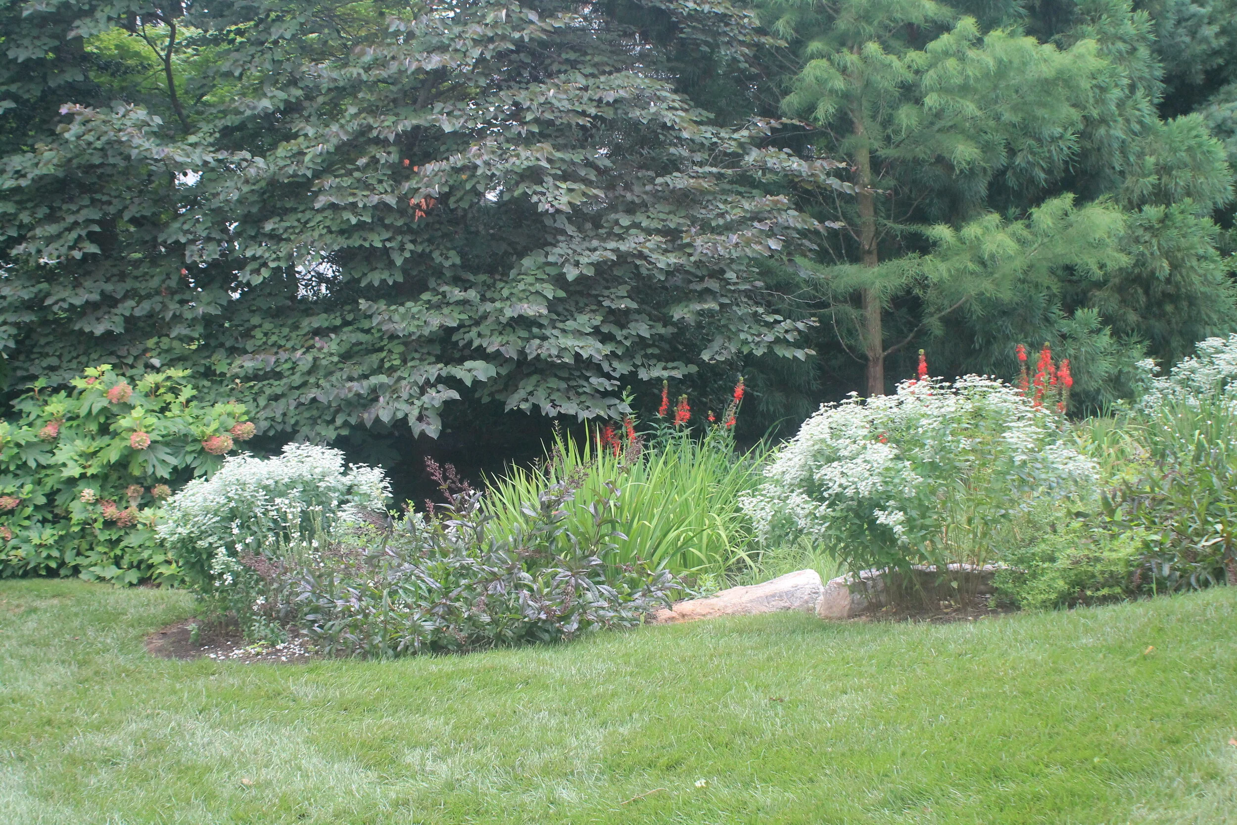 Sperry Rain Garden 1 After 1.JPG