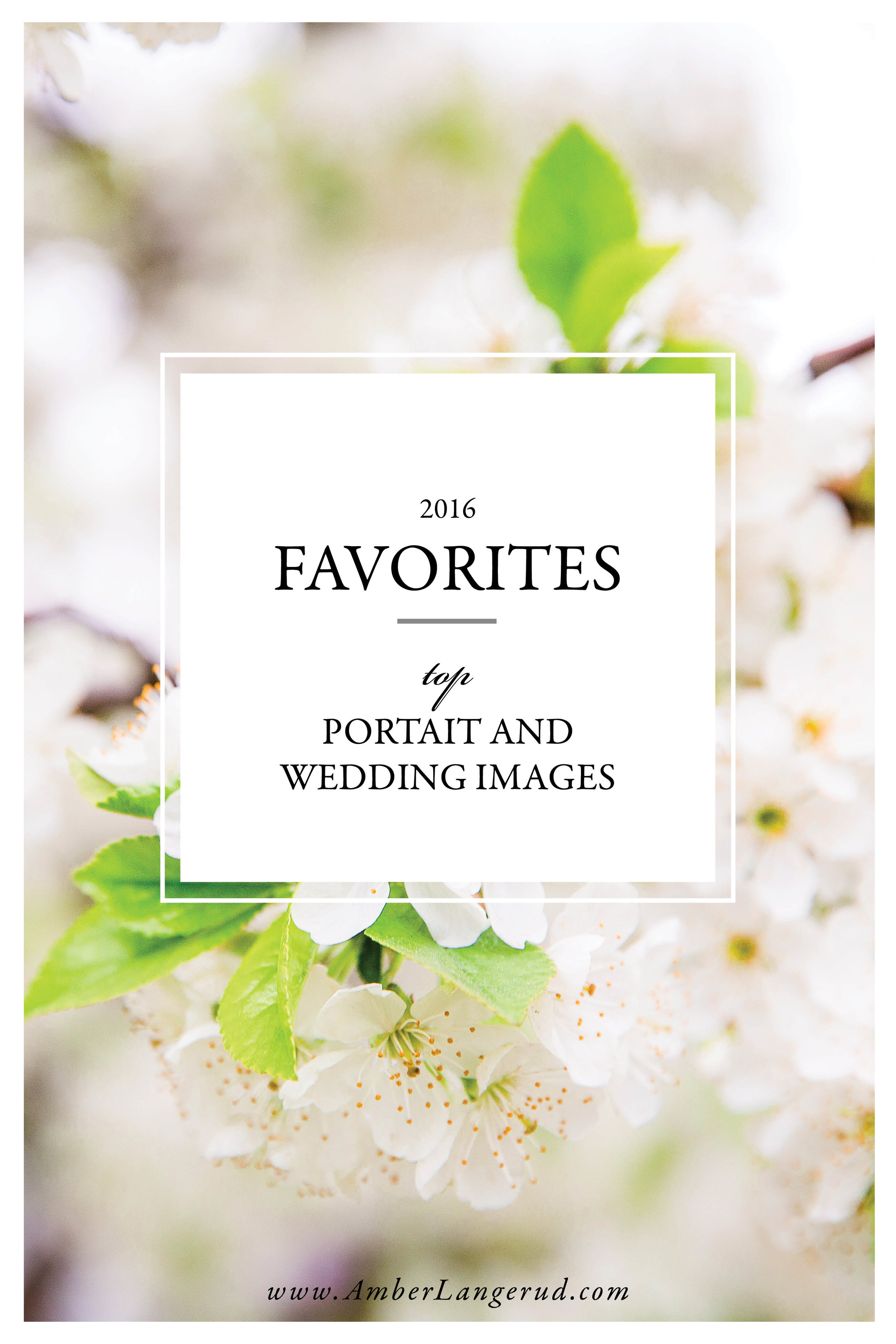 Top Images of 2016 by Amber Langerud Photography