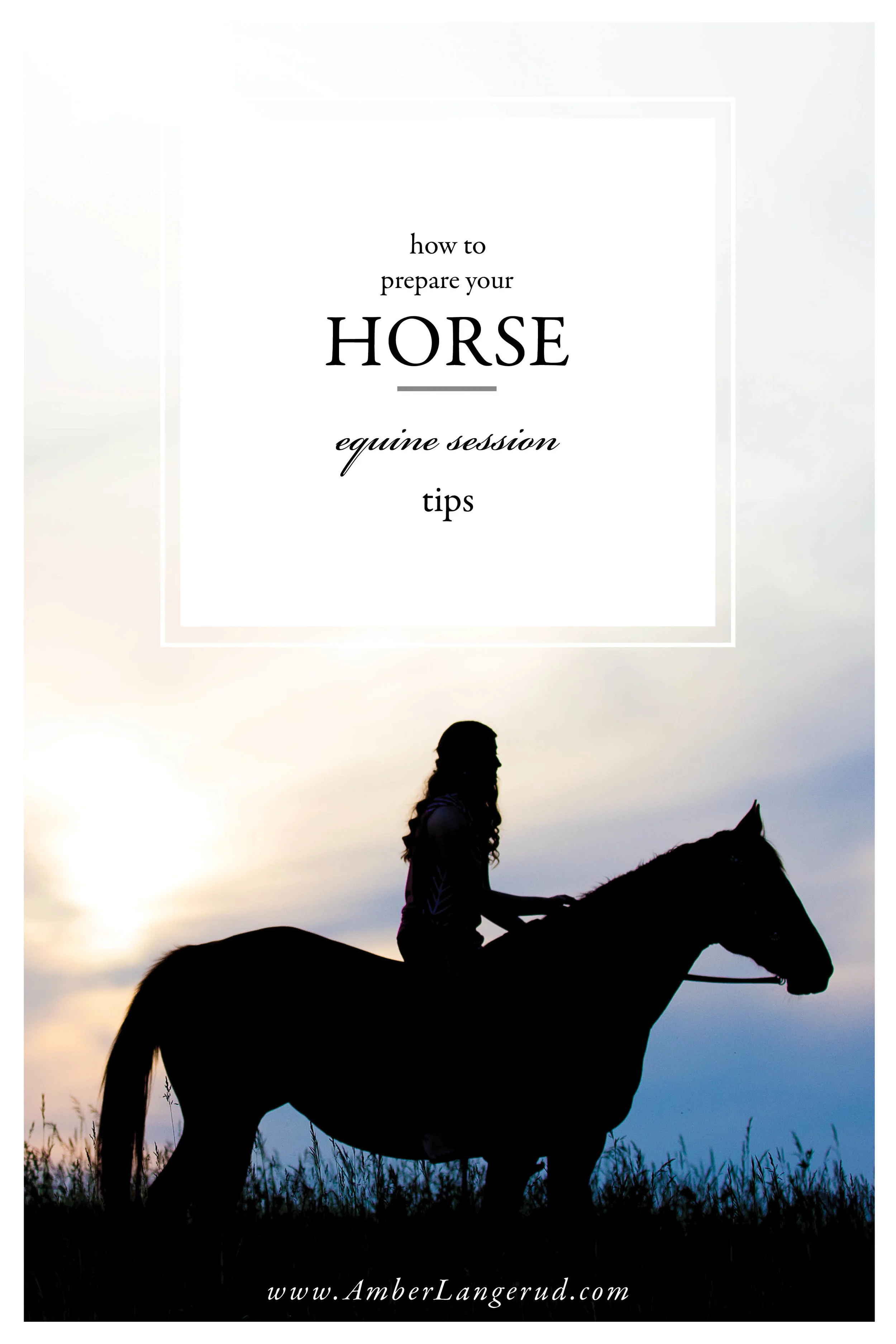 5 quick tips to help your equestrian session go smoothly | Amber Langerud Photography