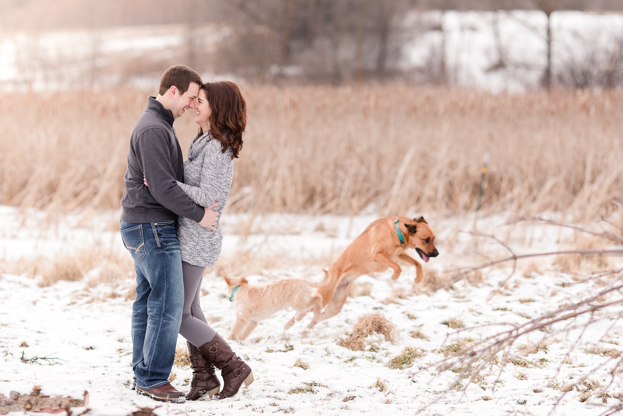 Wintertime, Country Styled Engagement Session with their Dogs near Audubon, MN by Amber Langerud Photography