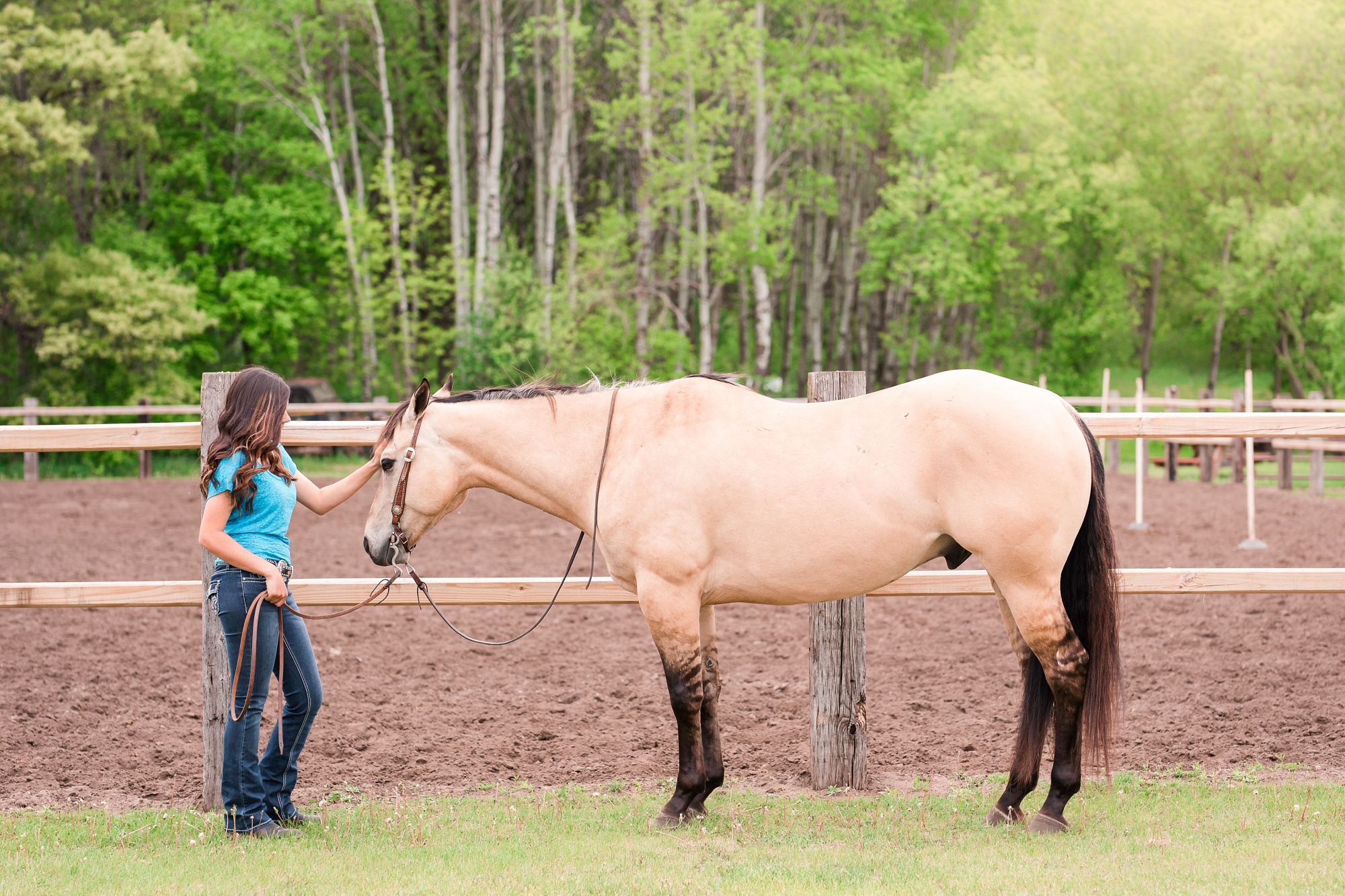 Country Styled, A Girl and Her Horse Session at Sandy Oaks Arena in Frazee by Amber Langerud Photography| Kayla