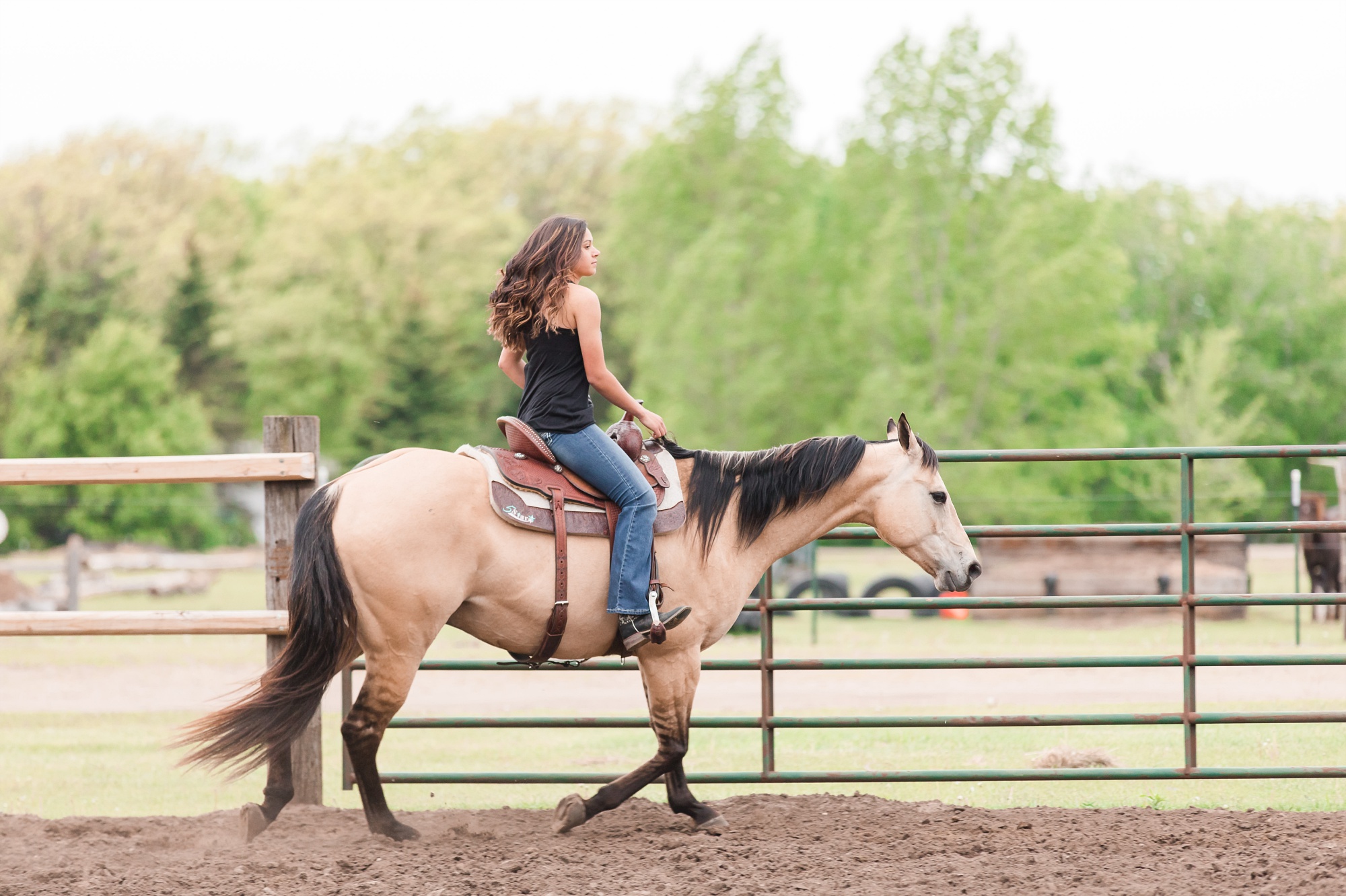 Country Styled, A Girl and Her Horse Session at Sandy Oaks Arena in Frazee, MN by Amber Langerud Photography | Kayla