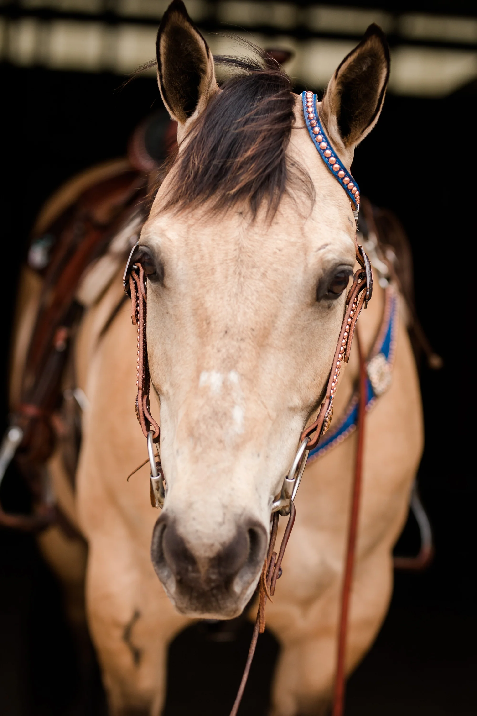 Country Styled, A Girl and Her Horse Session at Sandy Oaks Arena in Frazee, MN by Amber Langerud Photography | Kayla