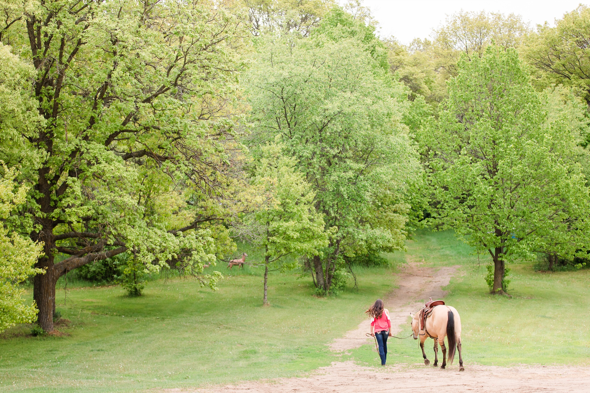 Country Styled, A Girl and Her Horse Session at Sandy Oaks Arena in Frazee, MN by Amber Langerud Photography | Kayla