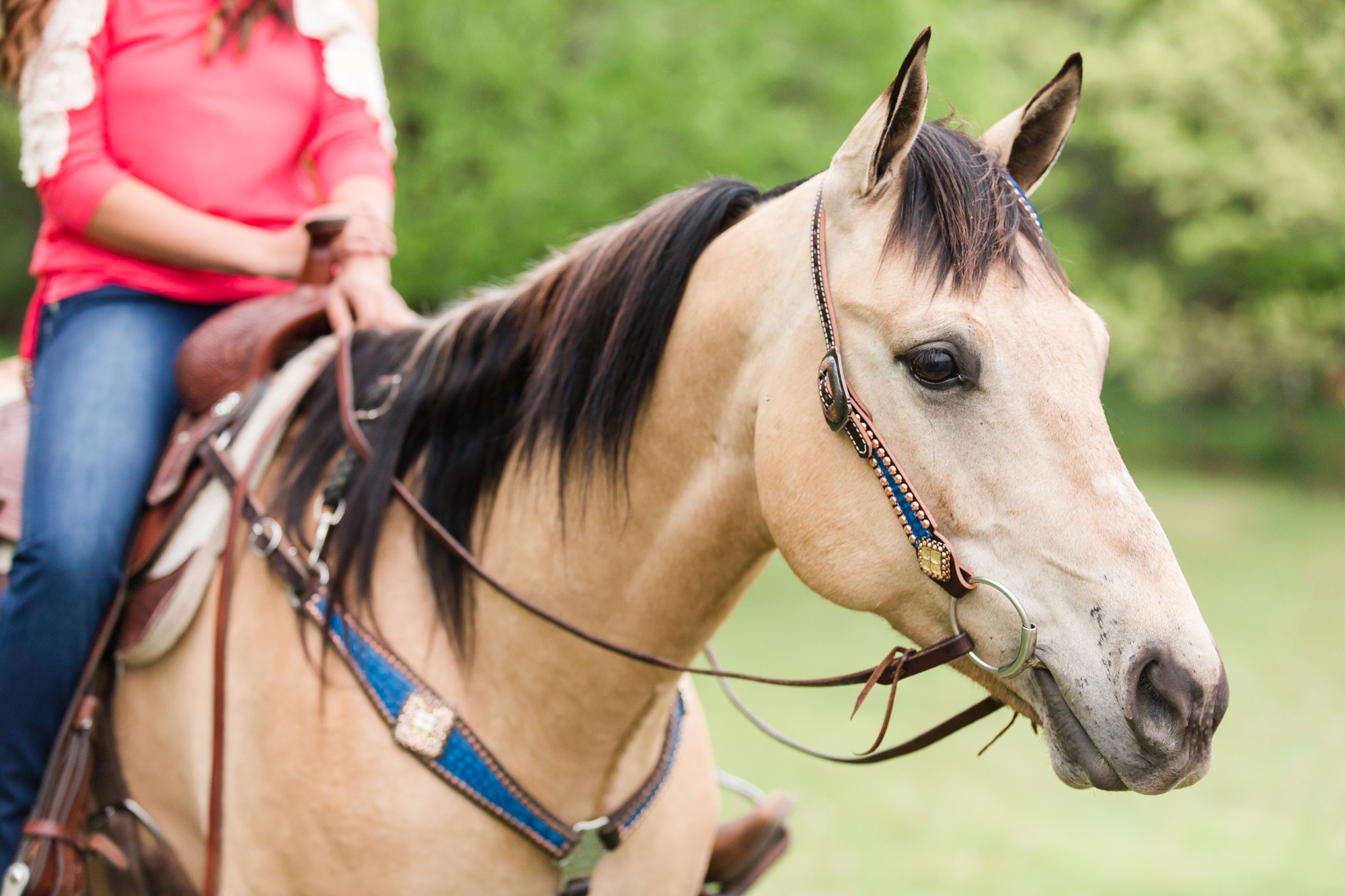 Country Styled, A Girl and Her Horse Session at Sandy Oaks Arena in Frazee, MN by Amber Langerud Photography | Kayla