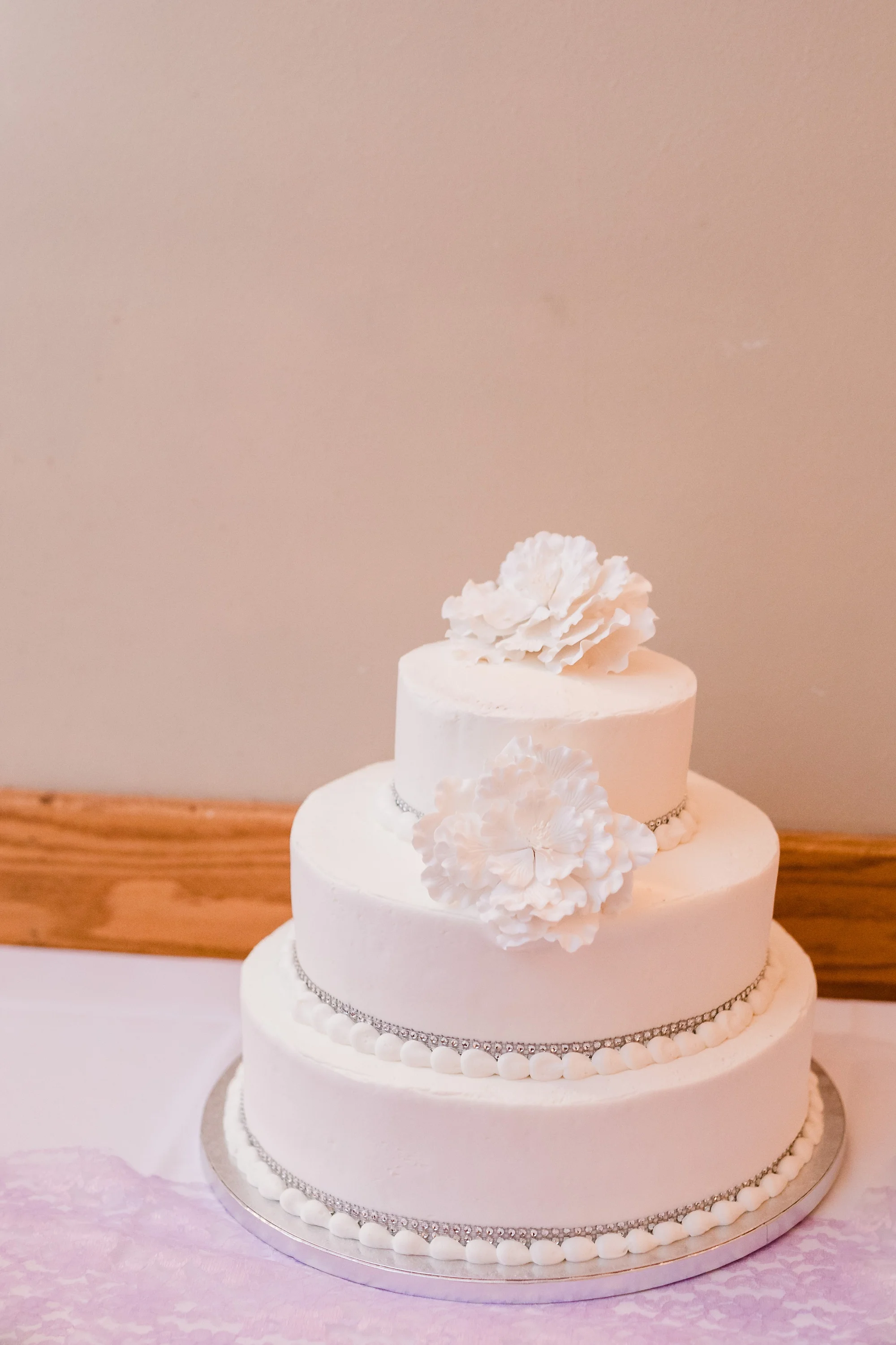 Backyard Frazee, MN Wedding with Frazee Event Center Reception by Amber Langerud | Ellie & Erik
