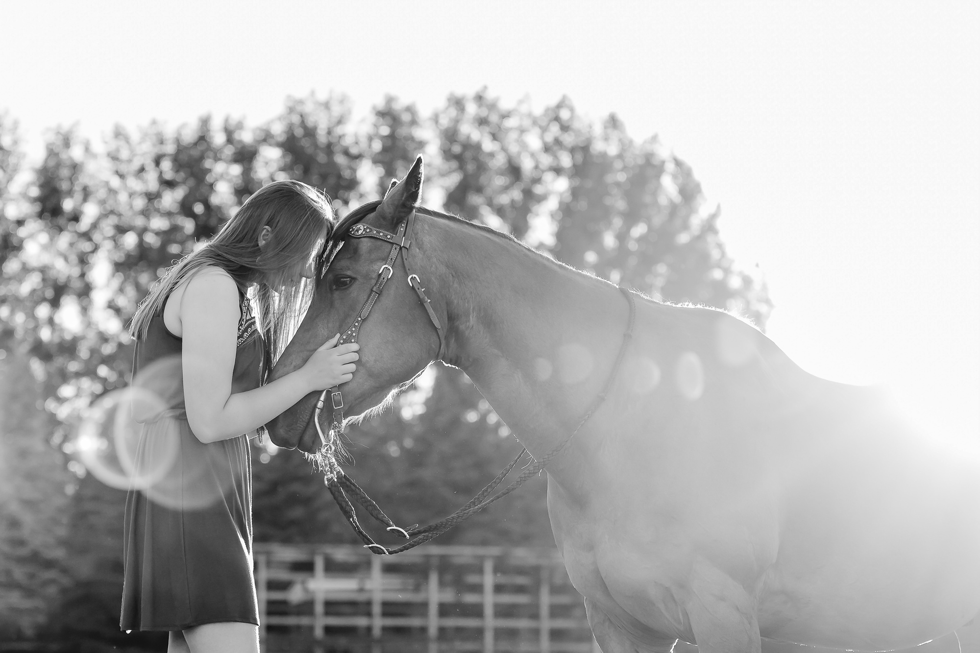 AmberLangerudPhotography_2017 Favs_4149.jpg