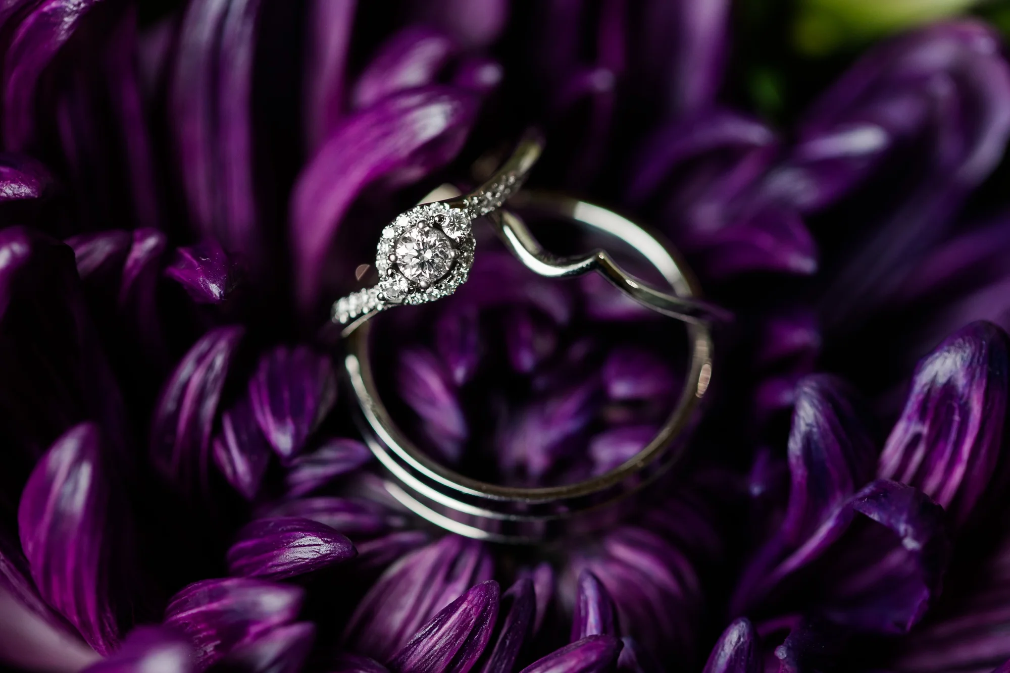 Amber Langerud Photography_Catholic Spring Wedding with Purple Accents_6297.jpg