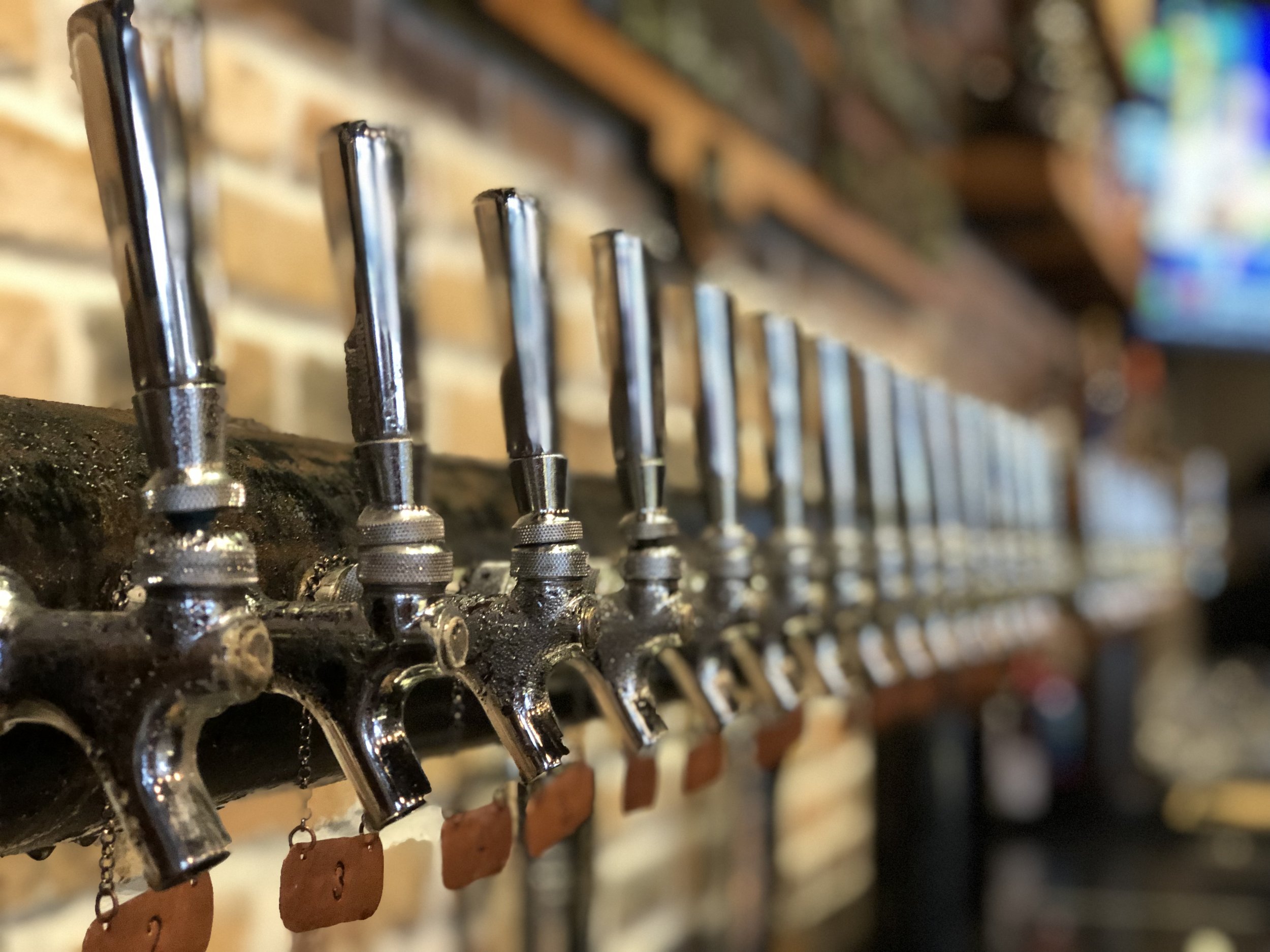 Guest Spot: Paradise Properties Gets Crafty