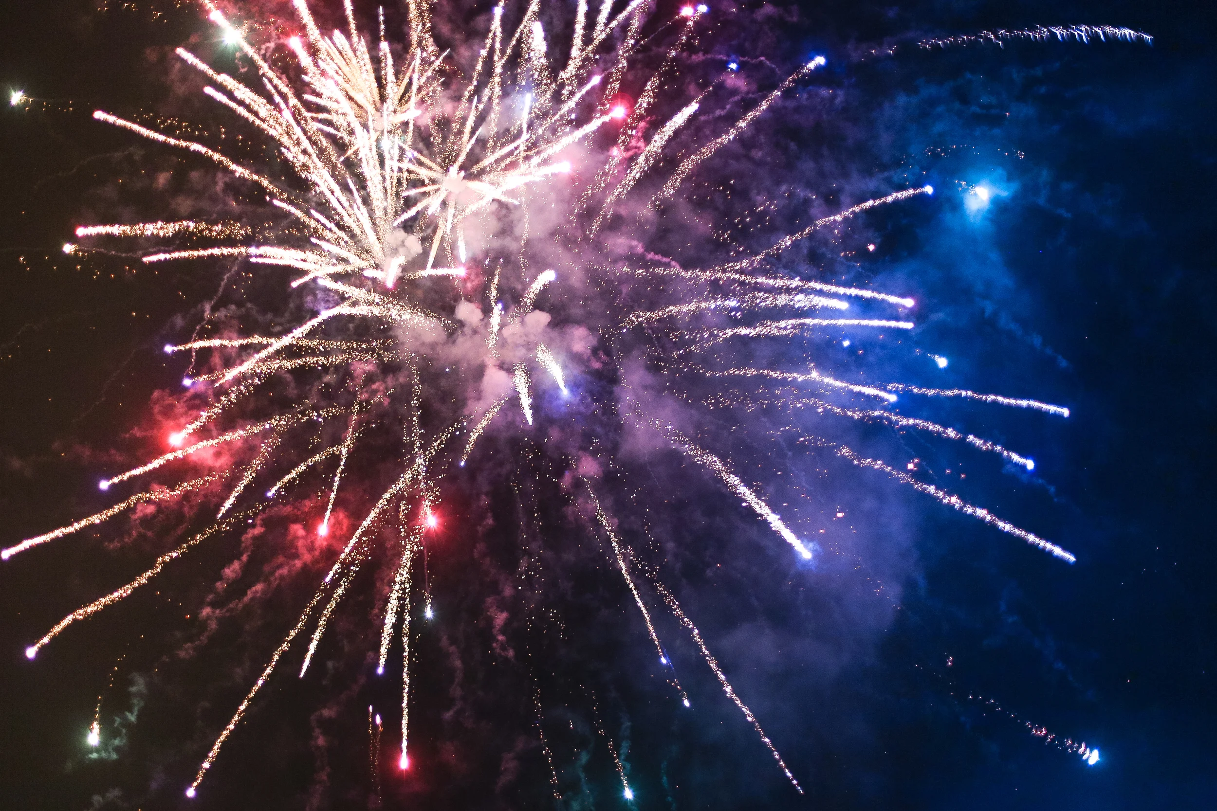 4th of July Festivities!