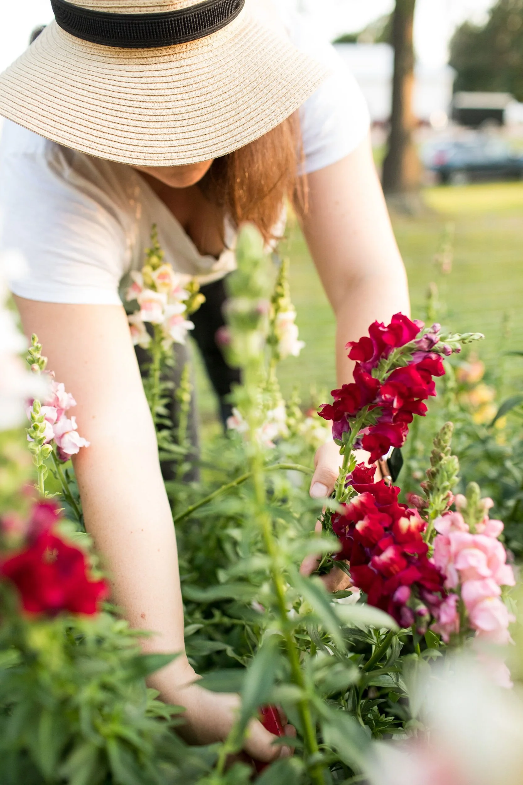 94A86060-4BFC-42C7-8DC8-9A1B708CF8BF