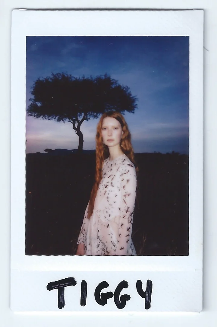 POLAROIDS 1.jpeg