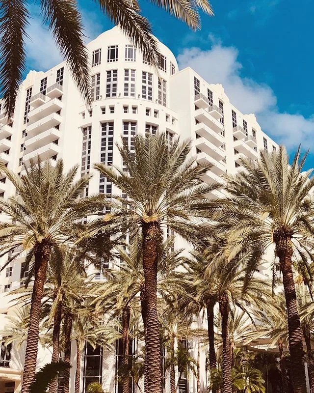 f o m o  i s  r e a l 🌴 |  South Beach