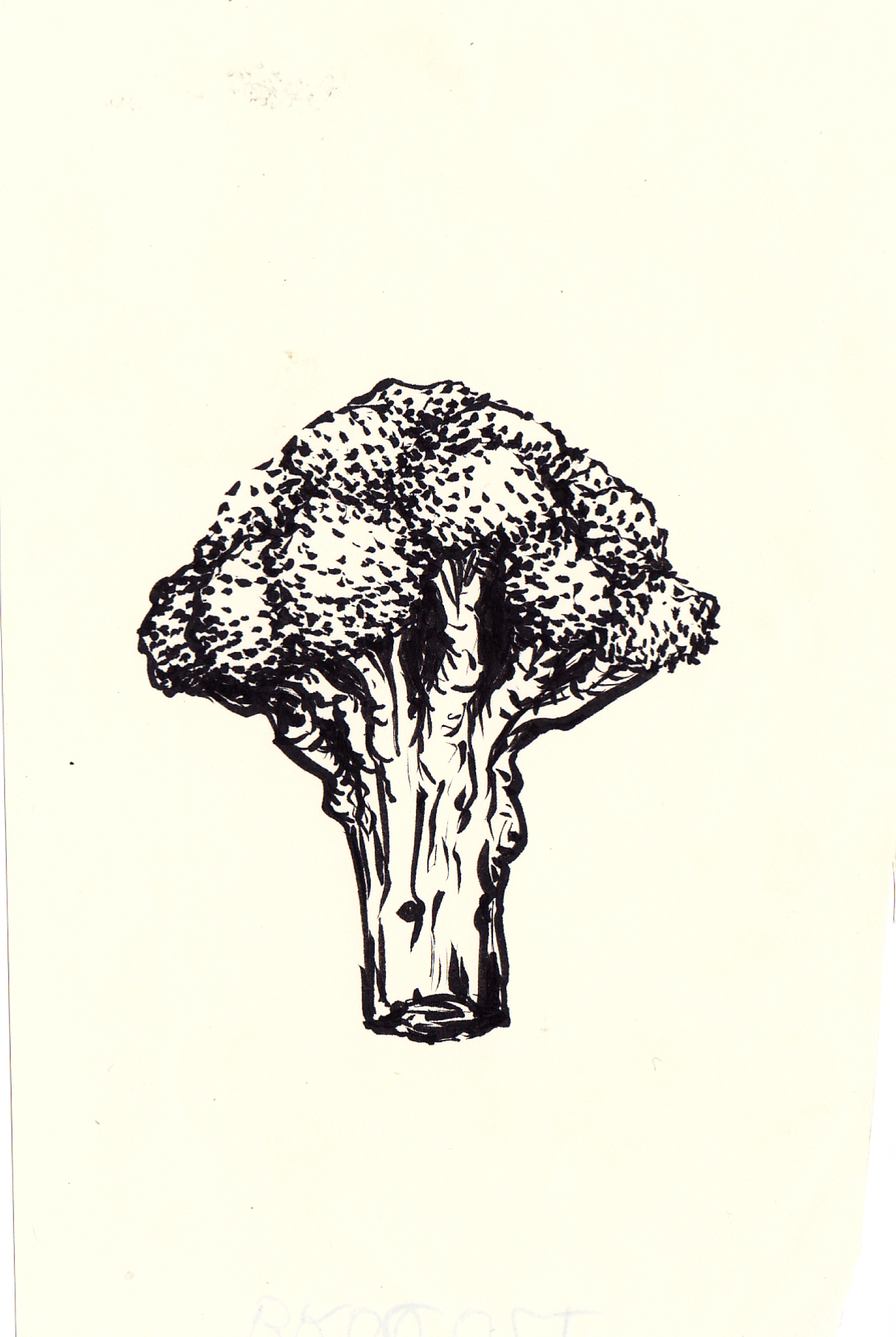 Brocco-Tree?