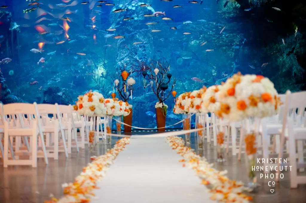 Ann and Nick | Seattle Aquarium Wedding