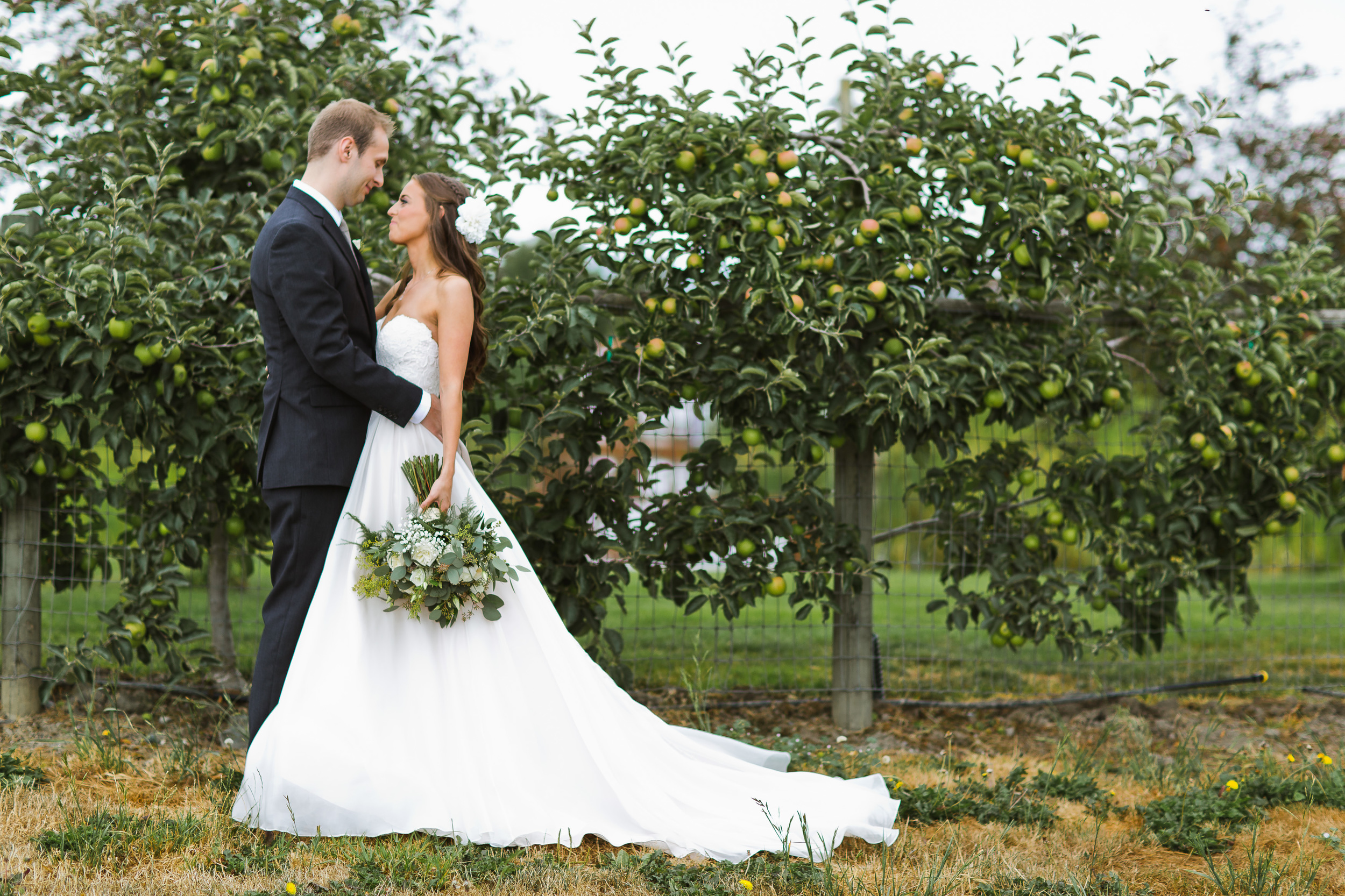 Orchard Wedding | Asgari Photography | Swans Trail Farm Wedding Snohomish | Snohomish Wedding Planner | Seattle Wedding Planner