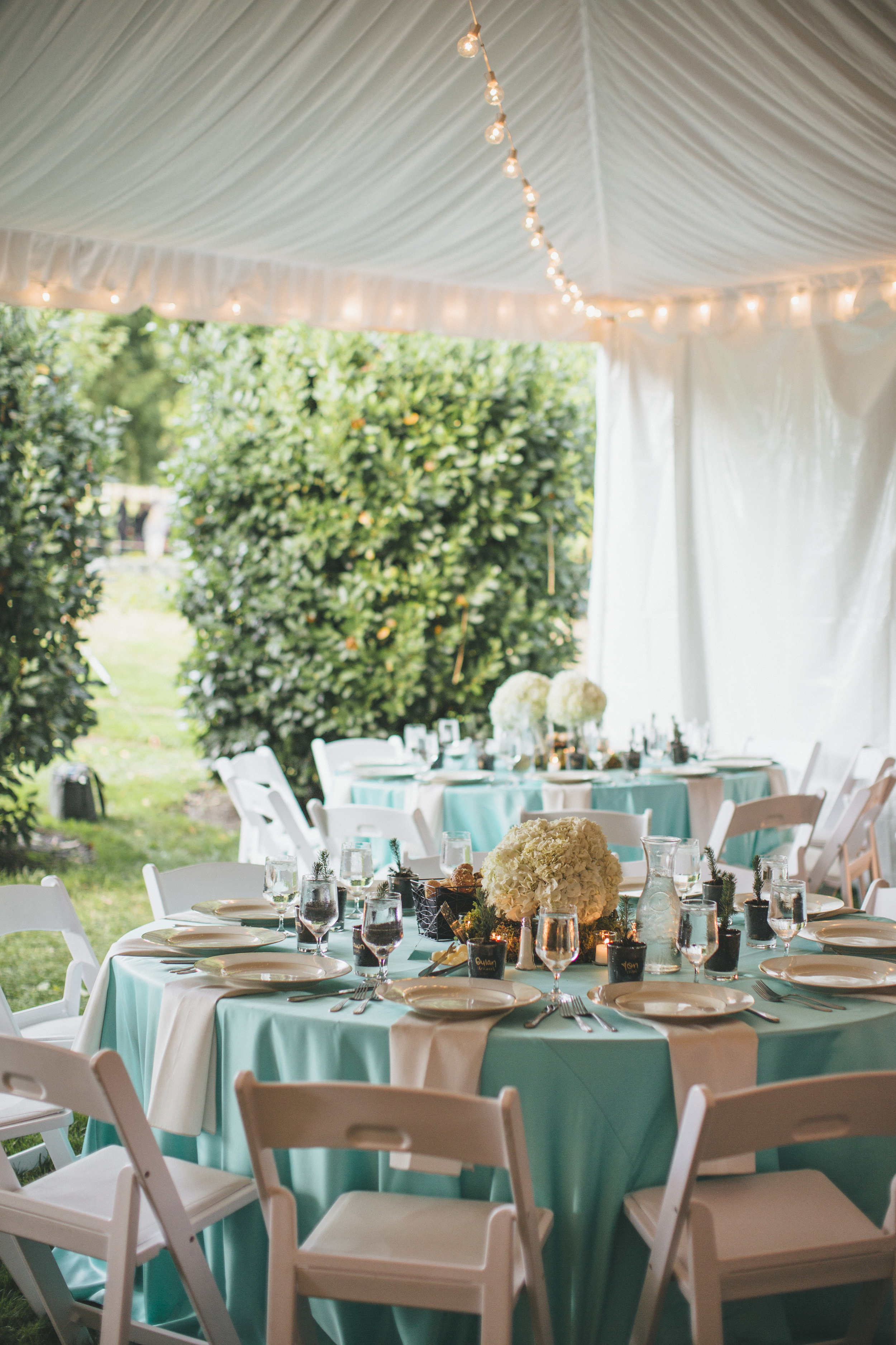 Teal and Green DeLille Cellars Wedding