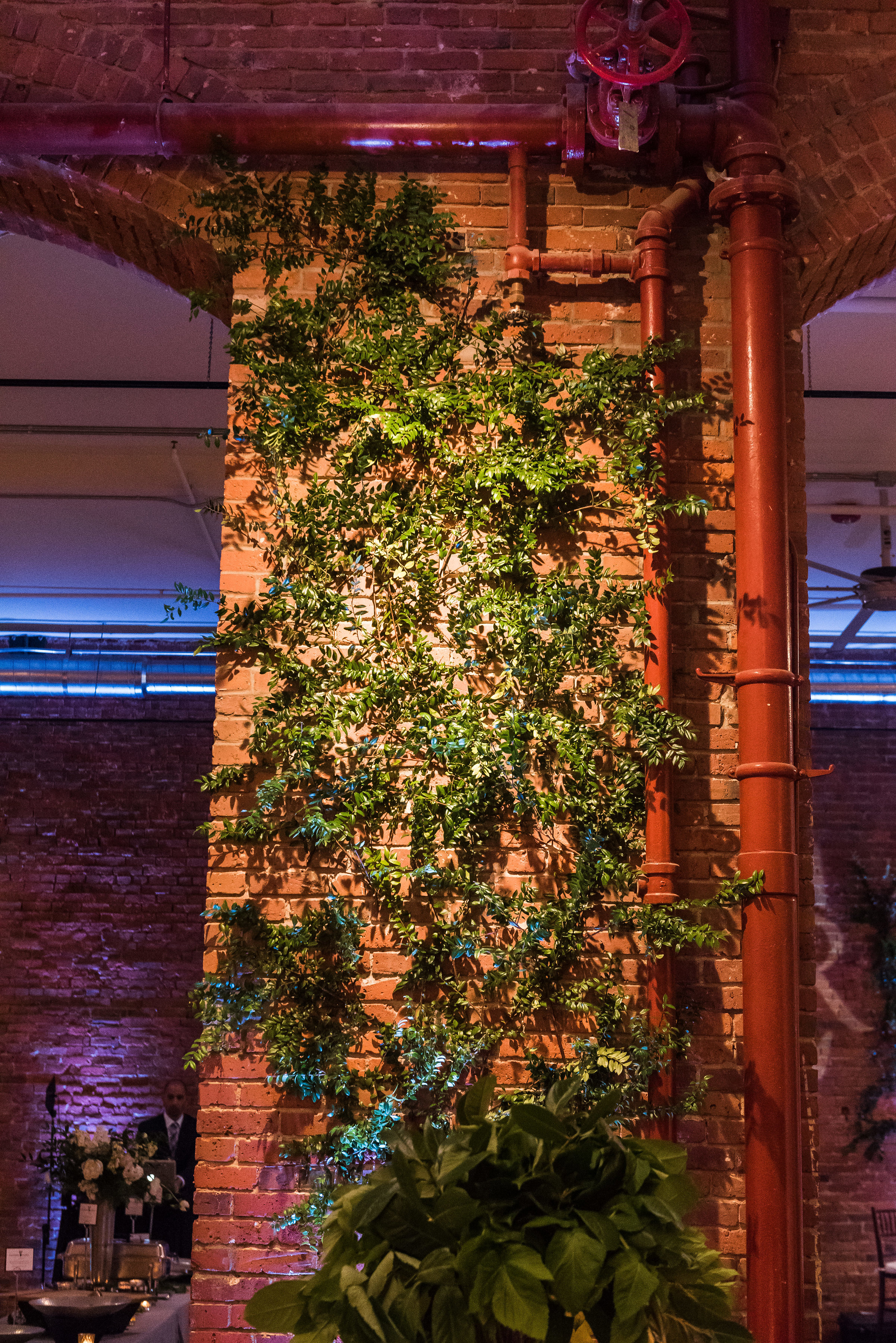 Greenery climbing up wall wedding.jpg