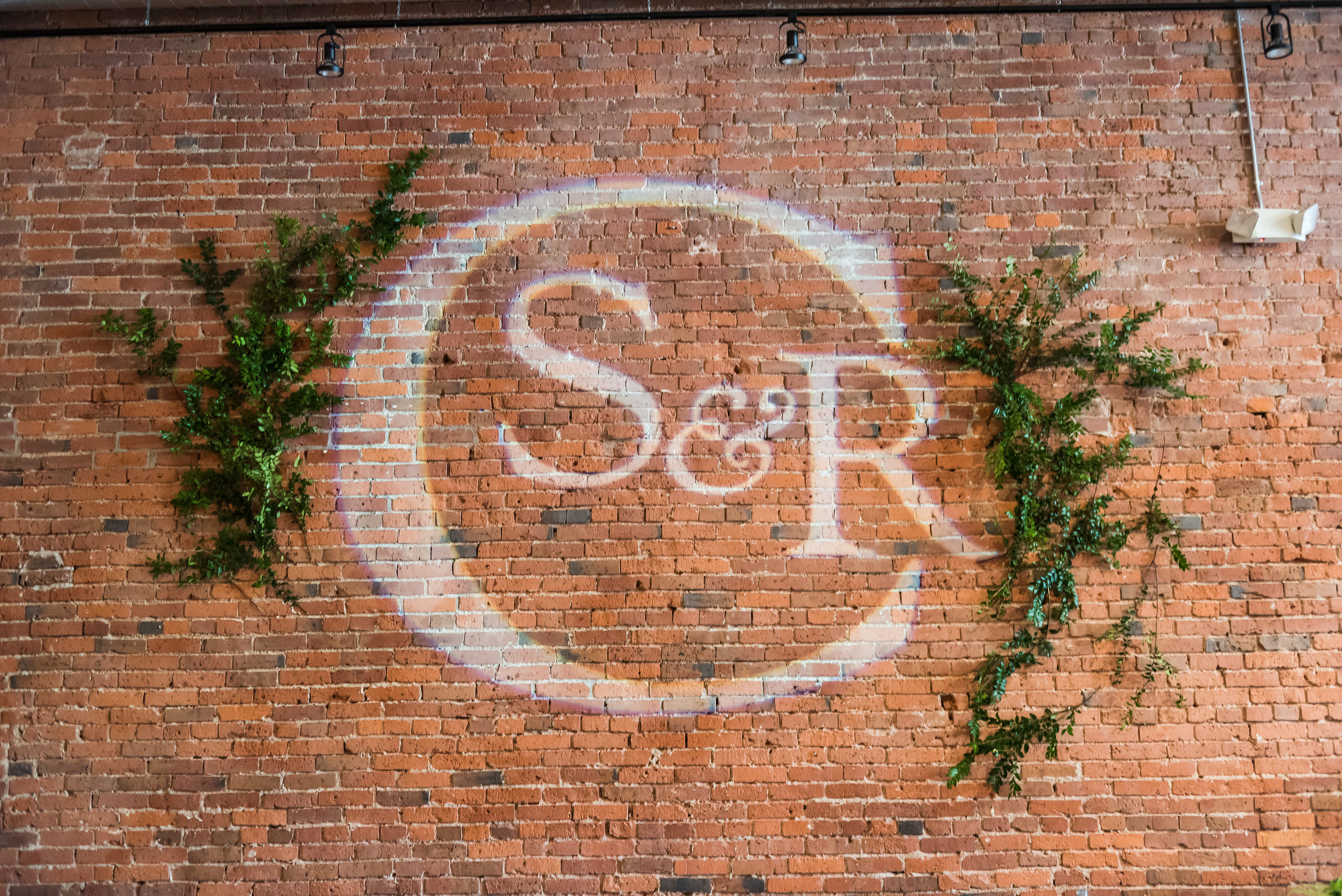 Gobo on wall with greenery.jpg