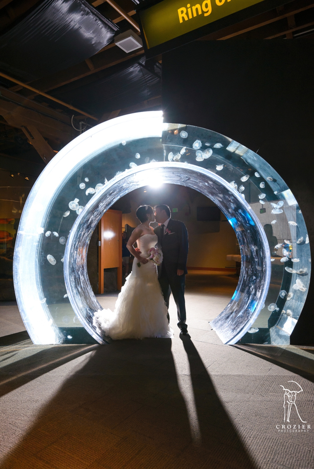 Seattle-aquarium-wedding-planner 20.jpg