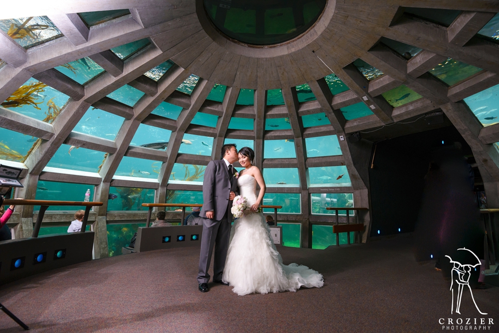 Seattle-aquarium-wedding-planner 21.jpg