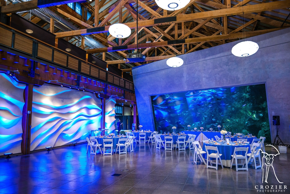 seaside romance seattle aquarium wedding