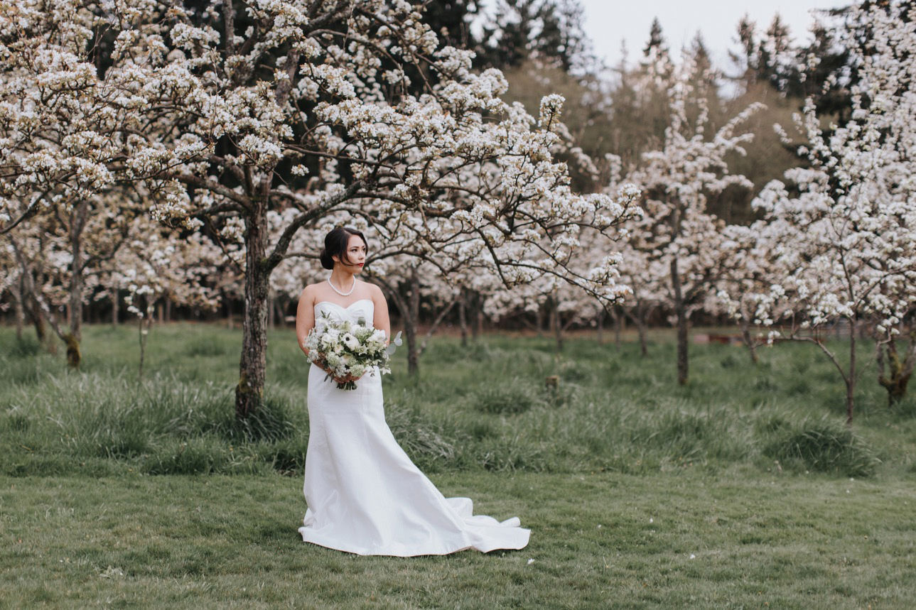 nashi-orchards-vashon-wedding-coordinator016.jpg