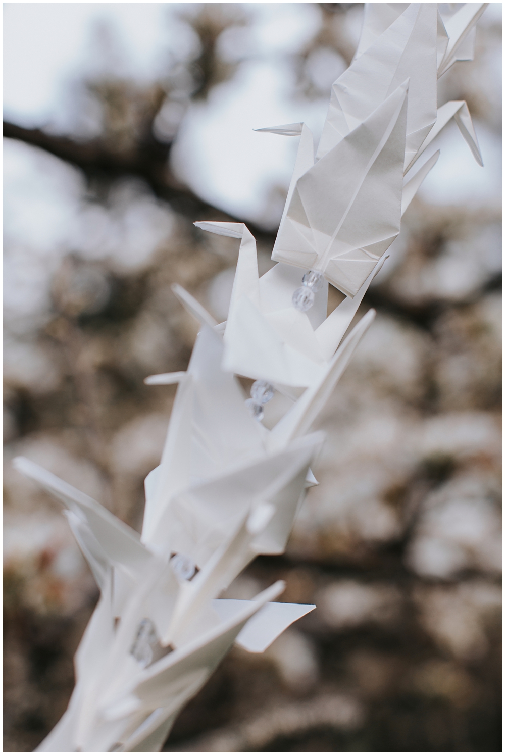 Japanese Wedding Cranes 