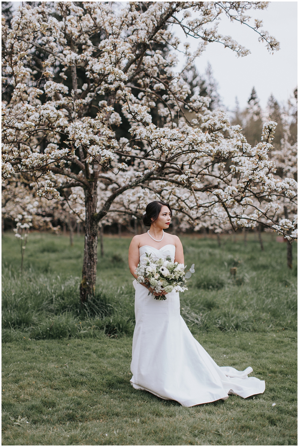 Bride Under Cherry Blossom Tree 