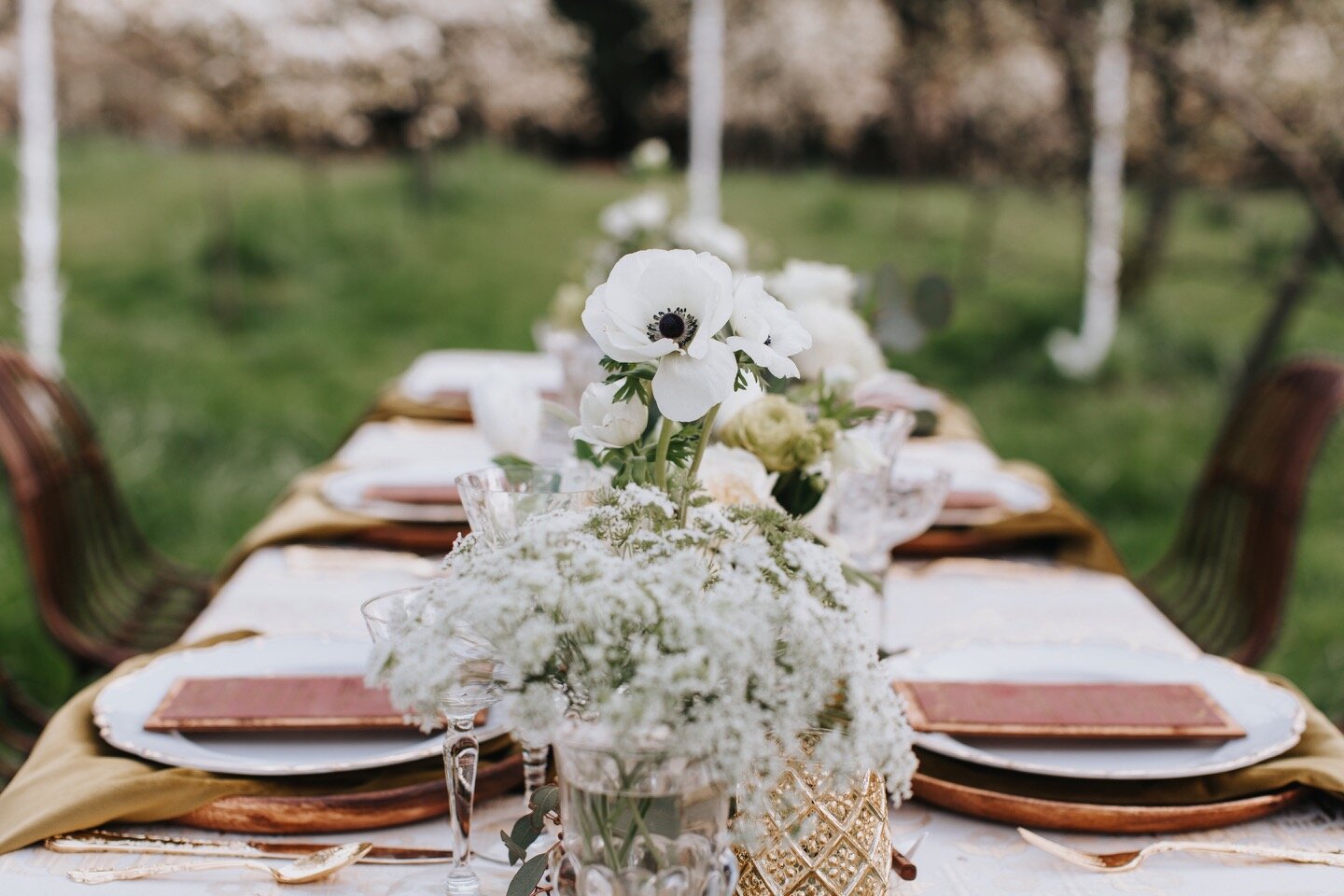 Nashi Orchard Elopement Intimate Wedding