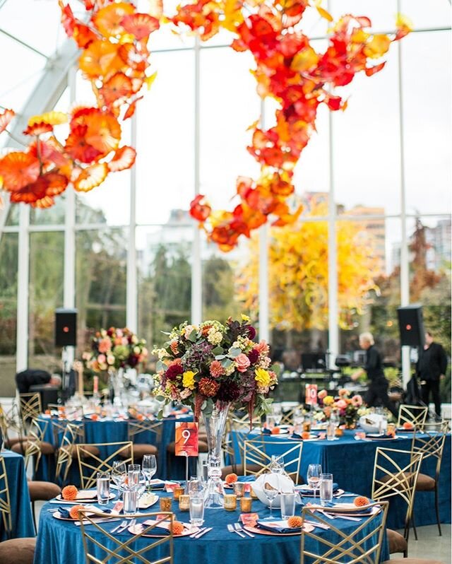 Copper and Navy fall wedding design fitting seamlessly with the venue!⠀⠀⠀⠀⠀⠀⠀⠀⠀
⠀⠀⠀⠀⠀⠀⠀⠀⠀
Photographer: @charbeckshoots⠀⠀⠀⠀⠀⠀⠀⠀⠀
Venue/Catering: @chihulygg⠀⠀⠀⠀⠀⠀⠀⠀⠀
Floral: @floranovadesign⠀⠀⠀⠀⠀⠀⠀⠀⠀
Rentals: @cortpartyrental, @bbjlinen, @greenroom_de
