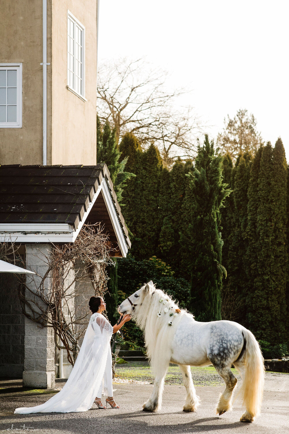 Weddings in Woodinville at Chateau Lill | January 2020 | Photo by Alante Photography
