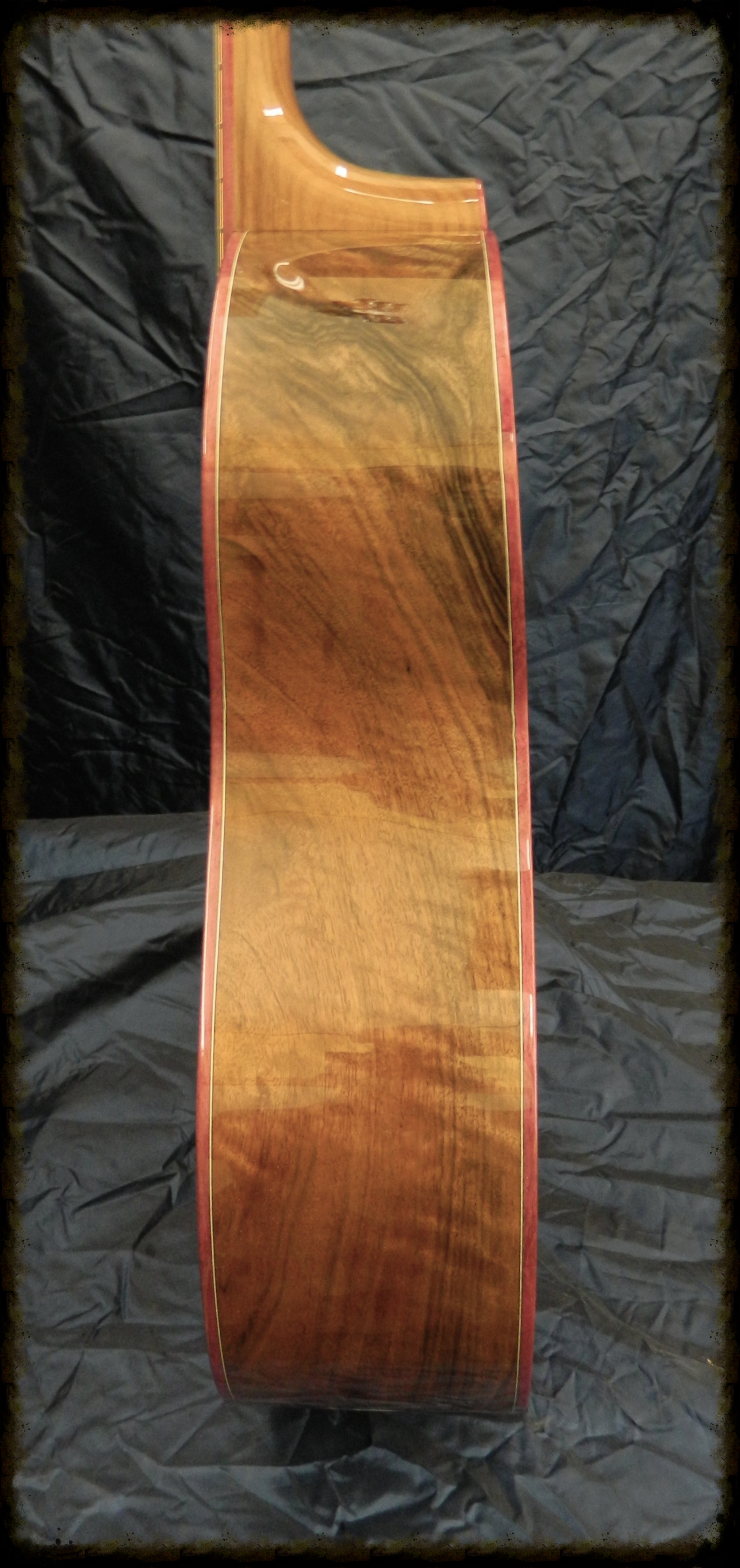 DSCN3365.jpg