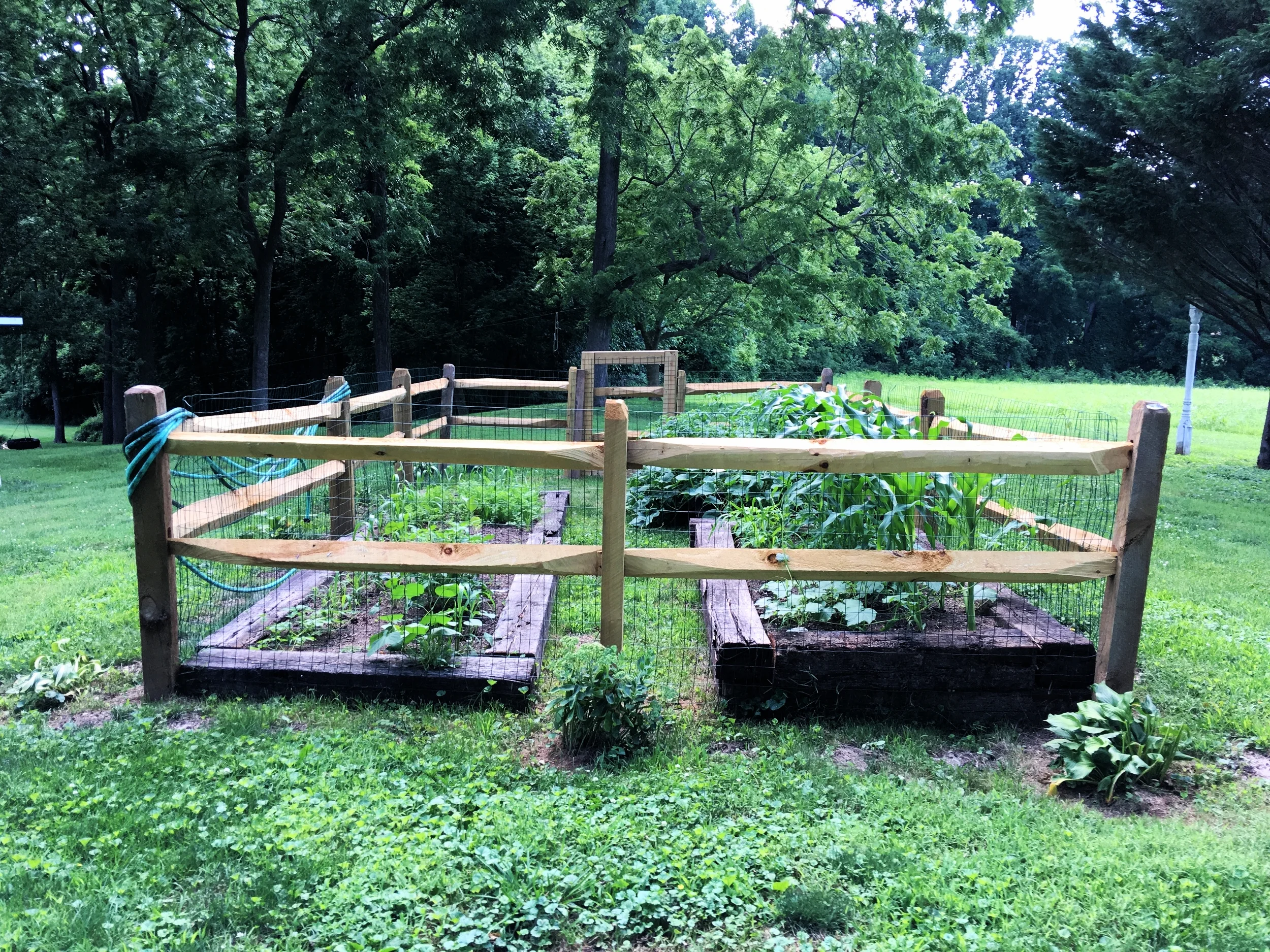 Garden Progress 