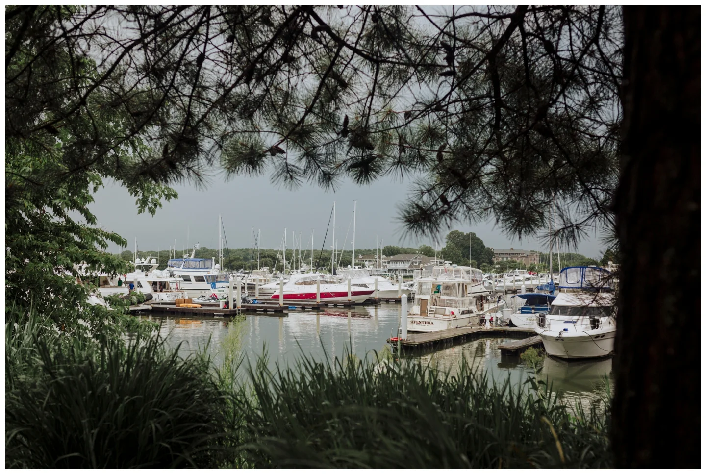 Chesapeake Bay Beach Club Wedding