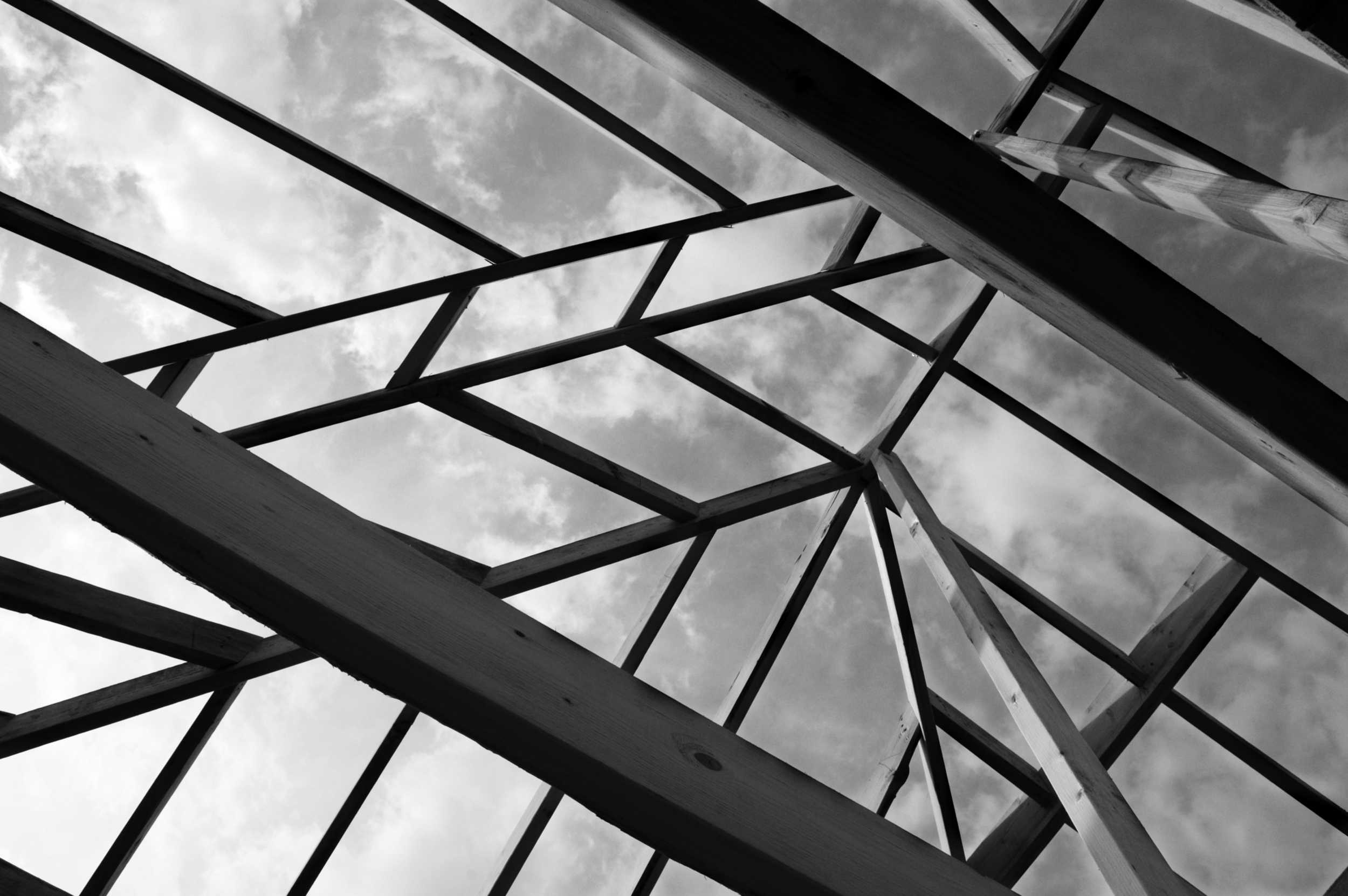 dreamstime_xl_1592944_BW.jpg
