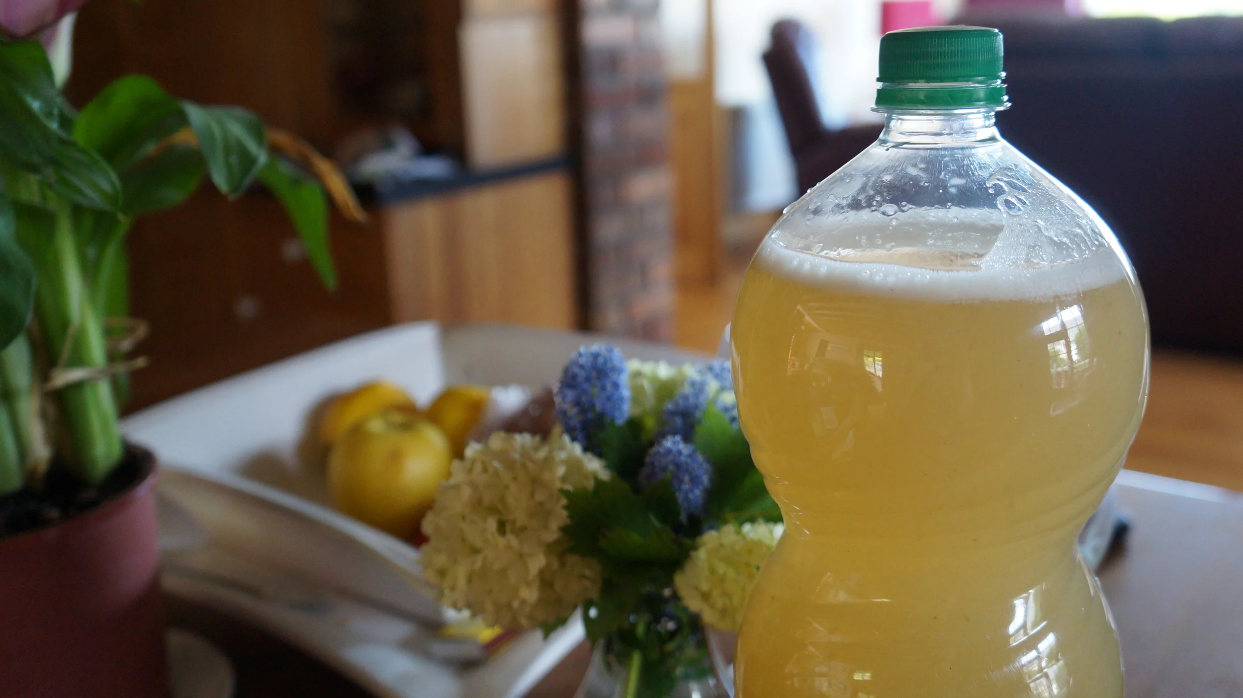 How to make Ginger Beer