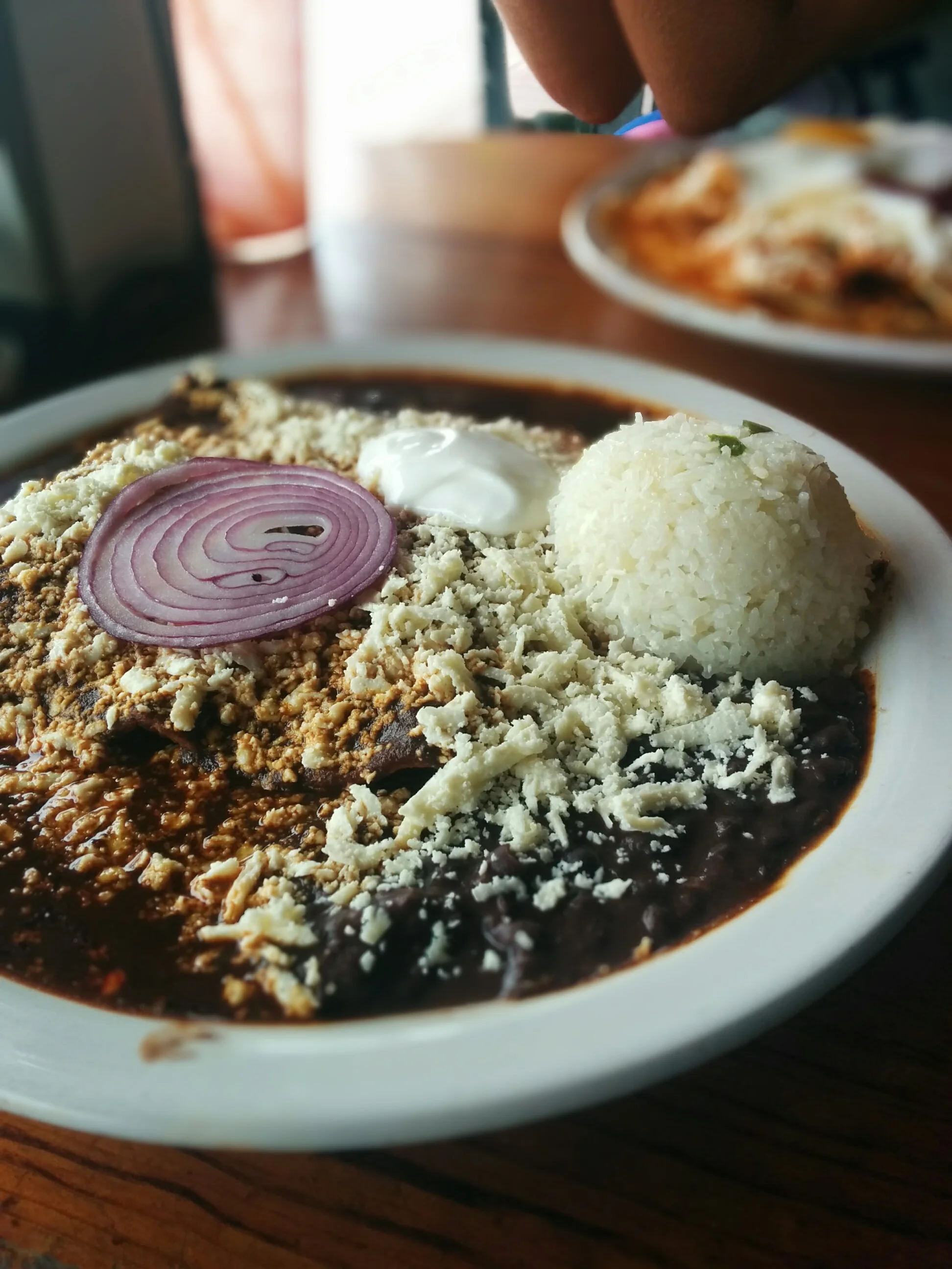 Mmm.. take me back. Chicken Mole Enchiladas.