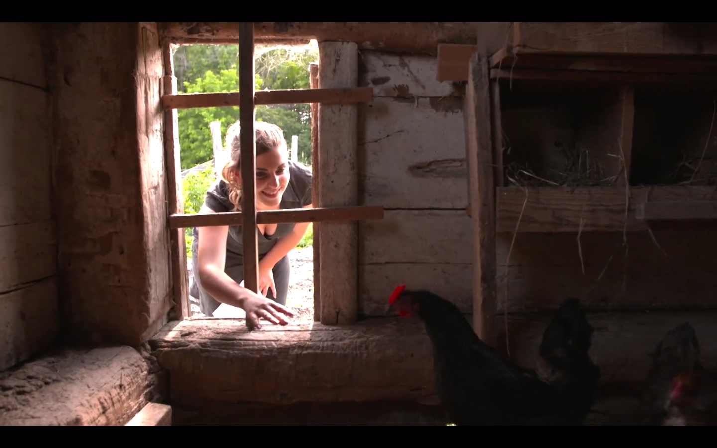 What is Biodynamic Farming?